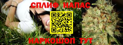 a pvp Будённовск