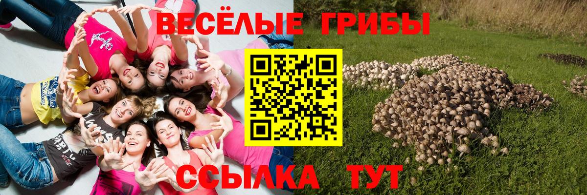 Псилоцибиновые грибы мицелий  Вход с VPN  где купить наркотик  Галлюциногенные грибы Psilocybe  Орск 